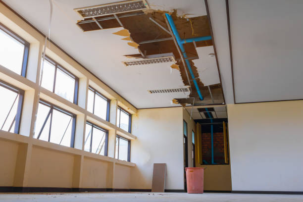 Best Fire Damage Restoration  in Piqua, OH