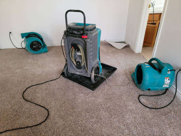 Best Local water damage restoration  in Piqua, OH