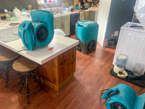  Piqua, OH Water damage restoration Pros