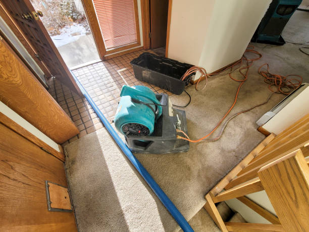 Best Basement water damage restoration  in Piqua, OH
