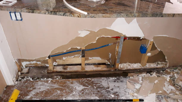 Best Professional water damage repair  in Piqua, OH