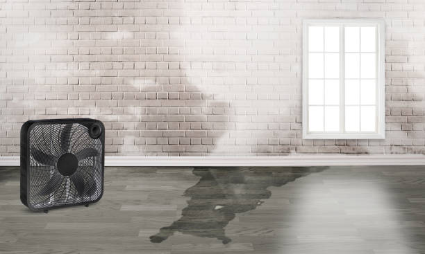 Best Sewage cleanup and water damage restoration  in Piqua, OH