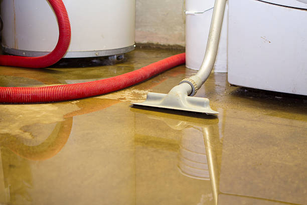 Best Water damage restoration near me  in Piqua, OH