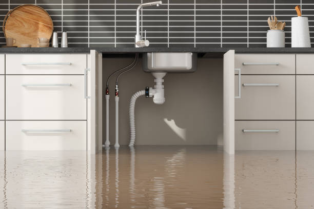 Best Ceiling water damage repair  in Piqua, OH