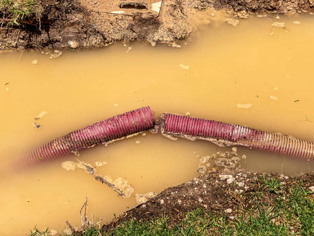 Best Water damage restoration company  in Piqua, OH